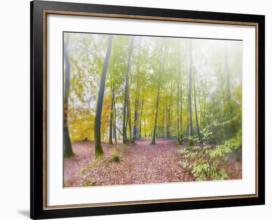 Natural Song-Viviane Fedieu Daniel-Framed Photographic Print