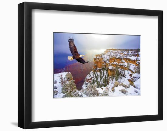 Natural Splendors Alaska V-null-Framed Art Print