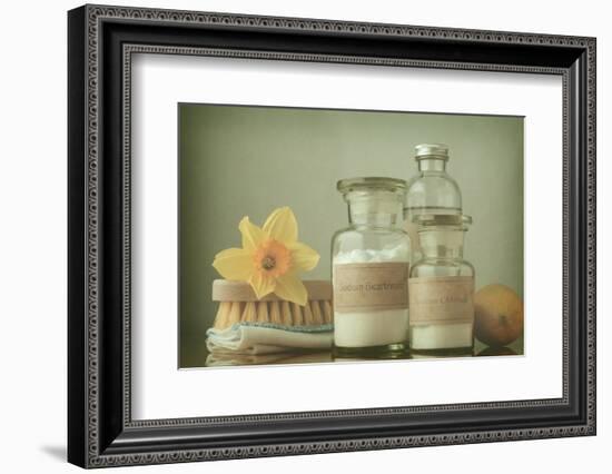 Natural Spring Cleaning - Cross Processed-frannyanne-Framed Photographic Print