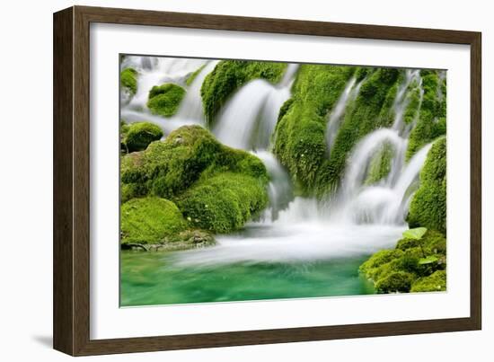 Natural Spring Waterfall Surrounded by Moss and Lush Foliage.-Liang Zhang-Framed Photographic Print