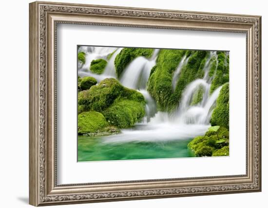 Natural Spring Waterfall Surrounded by Moss and Lush Foliage.-Liang Zhang-Framed Photographic Print