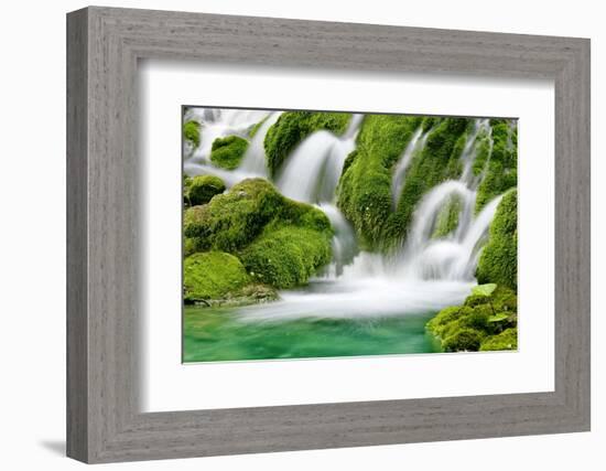 Natural Spring Waterfall Surrounded by Moss and Lush Foliage.-Liang Zhang-Framed Photographic Print