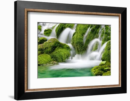 Natural Spring Waterfall Surrounded by Moss and Lush Foliage.-Liang Zhang-Framed Photographic Print