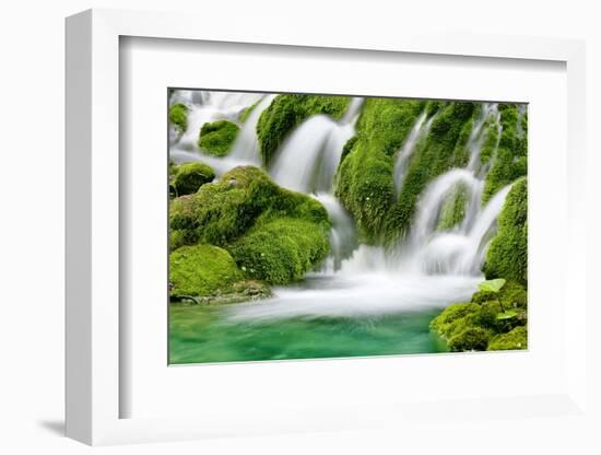 Natural Spring Waterfall Surrounded by Moss and Lush Foliage.-Liang Zhang-Framed Photographic Print