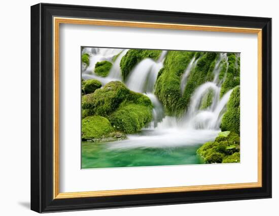 Natural Spring Waterfall Surrounded by Moss and Lush Foliage.-Liang Zhang-Framed Photographic Print