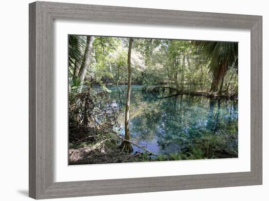 Natural Springs at Silver Springs State Park, Johnny Weismuller Tarzan films location, Florida, USA-Ethel Davies-Framed Photographic Print