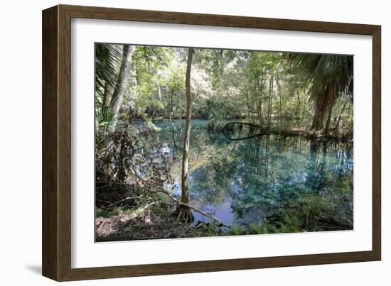 Natural Springs at Silver Springs State Park, Johnny Weismuller Tarzan films location, Florida, USA-Ethel Davies-Framed Photographic Print