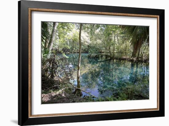 Natural Springs at Silver Springs State Park, Johnny Weismuller Tarzan films location, Florida, USA-Ethel Davies-Framed Photographic Print