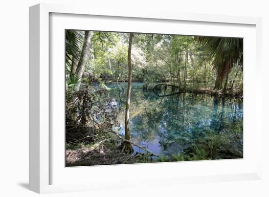 Natural Springs at Silver Springs State Park, Johnny Weismuller Tarzan films location, Florida, USA-Ethel Davies-Framed Photographic Print