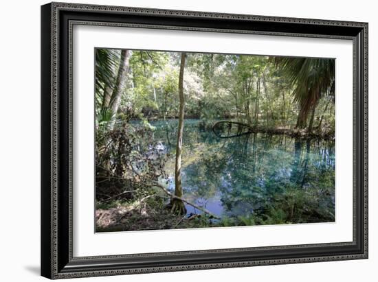 Natural Springs at Silver Springs State Park, Johnny Weismuller Tarzan films location, Florida, USA-Ethel Davies-Framed Photographic Print