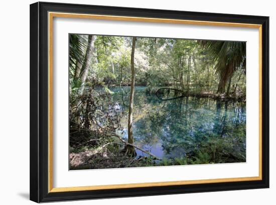 Natural Springs at Silver Springs State Park, Johnny Weismuller Tarzan films location, Florida, USA-Ethel Davies-Framed Photographic Print