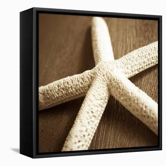 Natural Starfish-Marlana Semenza-Framed Stretched Canvas