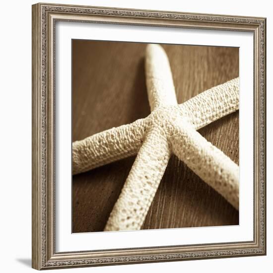 Natural Starfish-Marlana Semenza-Framed Art Print