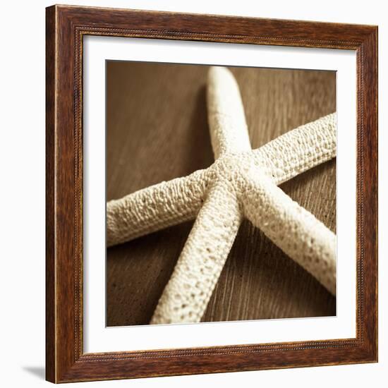 Natural Starfish-Marlana Semenza-Framed Art Print