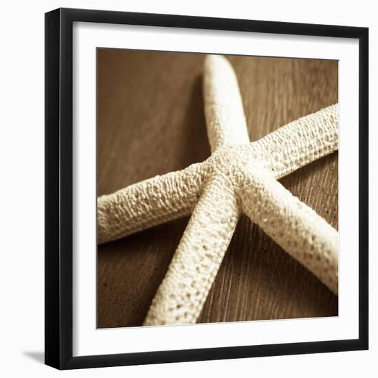 Natural Starfish-Marlana Semenza-Framed Art Print