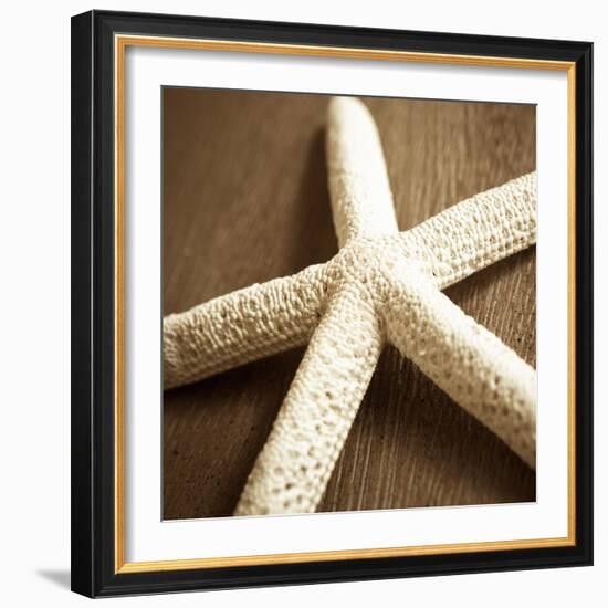 Natural Starfish-Marlana Semenza-Framed Art Print