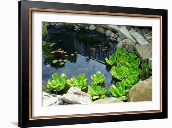 Natural Stone Pond as Landscaping Design Element-elenathewise-Framed Photographic Print