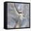 Natural Stone-Danielle Carson-Framed Stretched Canvas