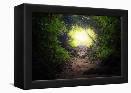 Natural Tunnel in Tropical Jungle Forest. Road Path Way through Lush, Foliage and Trees of Evergree-SergWSQ-Framed Premier Image Canvas