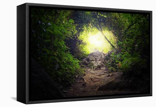 Natural Tunnel in Tropical Jungle Forest. Road Path Way through Lush, Foliage and Trees of Evergree-SergWSQ-Framed Premier Image Canvas