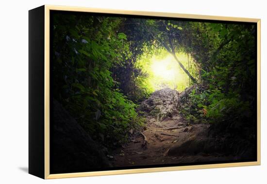 Natural Tunnel in Tropical Jungle Forest. Road Path Way through Lush, Foliage and Trees of Evergree-SergWSQ-Framed Premier Image Canvas