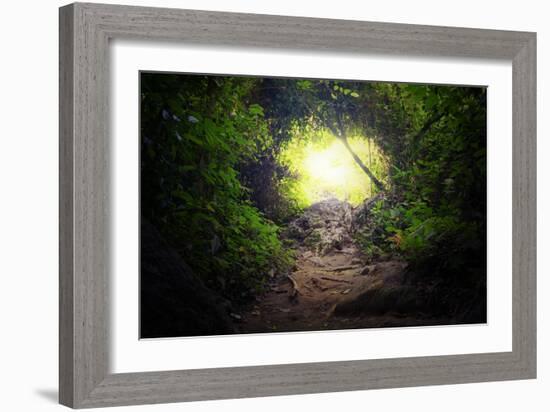 Natural Tunnel in Tropical Jungle Forest. Road Path Way through Lush, Foliage and Trees of Evergree-SergWSQ-Framed Photographic Print