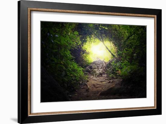 Natural Tunnel in Tropical Jungle Forest. Road Path Way through Lush, Foliage and Trees of Evergree-SergWSQ-Framed Photographic Print