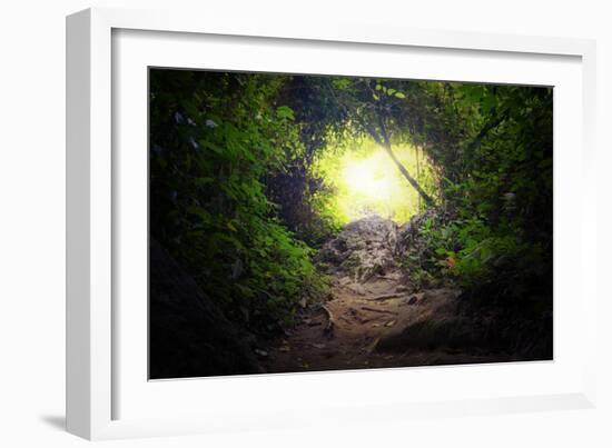 Natural Tunnel in Tropical Jungle Forest. Road Path Way through Lush, Foliage and Trees of Evergree-SergWSQ-Framed Photographic Print