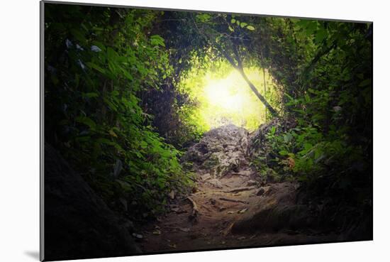 Natural Tunnel in Tropical Jungle Forest. Road Path Way through Lush, Foliage and Trees of Evergree-SergWSQ-Mounted Photographic Print