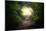 Natural Tunnel in Tropical Jungle Forest. Road Path Way through Lush, Foliage and Trees of Evergree-SergWSQ-Mounted Photographic Print