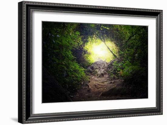 Natural Tunnel in Tropical Jungle Forest. Road Path Way through Lush, Foliage and Trees of Evergree-SergWSQ-Framed Photographic Print