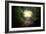 Natural Tunnel in Tropical Jungle Forest. Road Path Way through Lush, Foliage and Trees of Evergree-SergWSQ-Framed Photographic Print