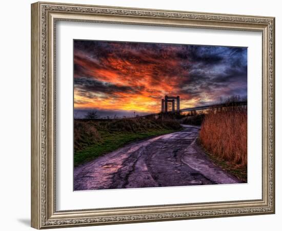 Nature 11-Brian Stevenson-Framed Photographic Print