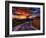 Nature 11-Brian Stevenson-Framed Photographic Print