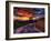 Nature 11-Brian Stevenson-Framed Photographic Print