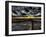 Nature 12-Brian Stevenson-Framed Photographic Print