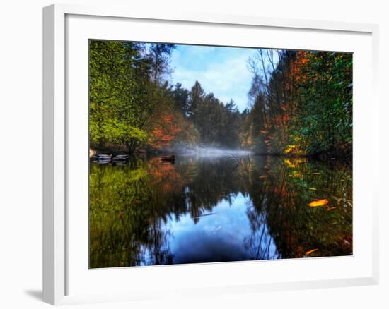 Nature 14-Brian Stevenson-Framed Photographic Print