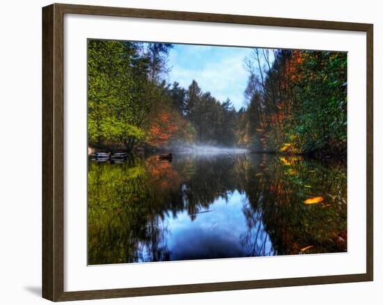 Nature 14-Brian Stevenson-Framed Photographic Print