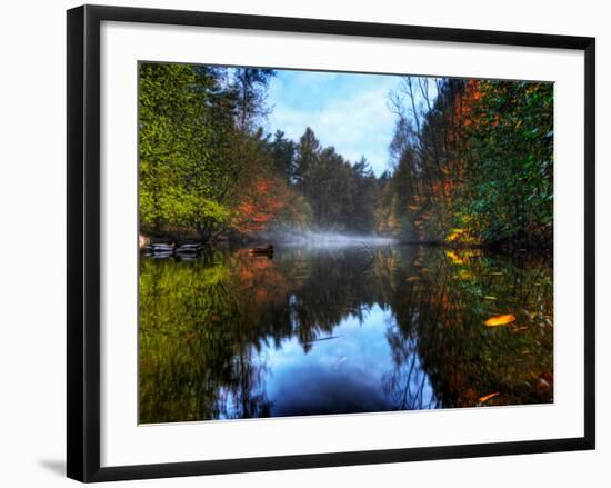 Nature 14-Brian Stevenson-Framed Photographic Print