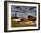 Nature 20-Brian Stevenson-Framed Photographic Print