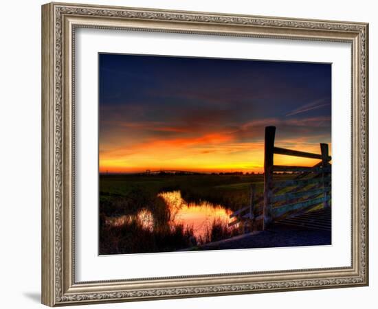 Nature 22-Brian Stevenson-Framed Photographic Print