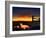 Nature 22-Brian Stevenson-Framed Photographic Print