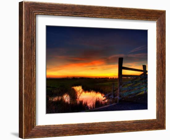 Nature 22-Brian Stevenson-Framed Photographic Print