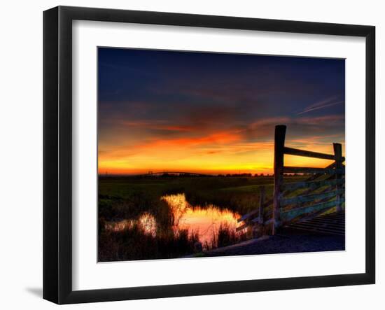 Nature 22-Brian Stevenson-Framed Photographic Print