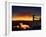 Nature 22-Brian Stevenson-Framed Photographic Print