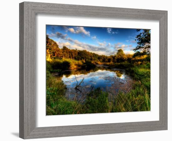 Nature 26-Brian Stevenson-Framed Photographic Print