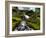 Nature 27-Brian Stevenson-Framed Photographic Print