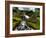 Nature 27-Brian Stevenson-Framed Photographic Print