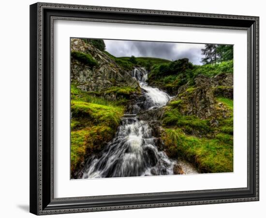 Nature 27-Brian Stevenson-Framed Photographic Print