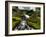 Nature 27-Brian Stevenson-Framed Photographic Print